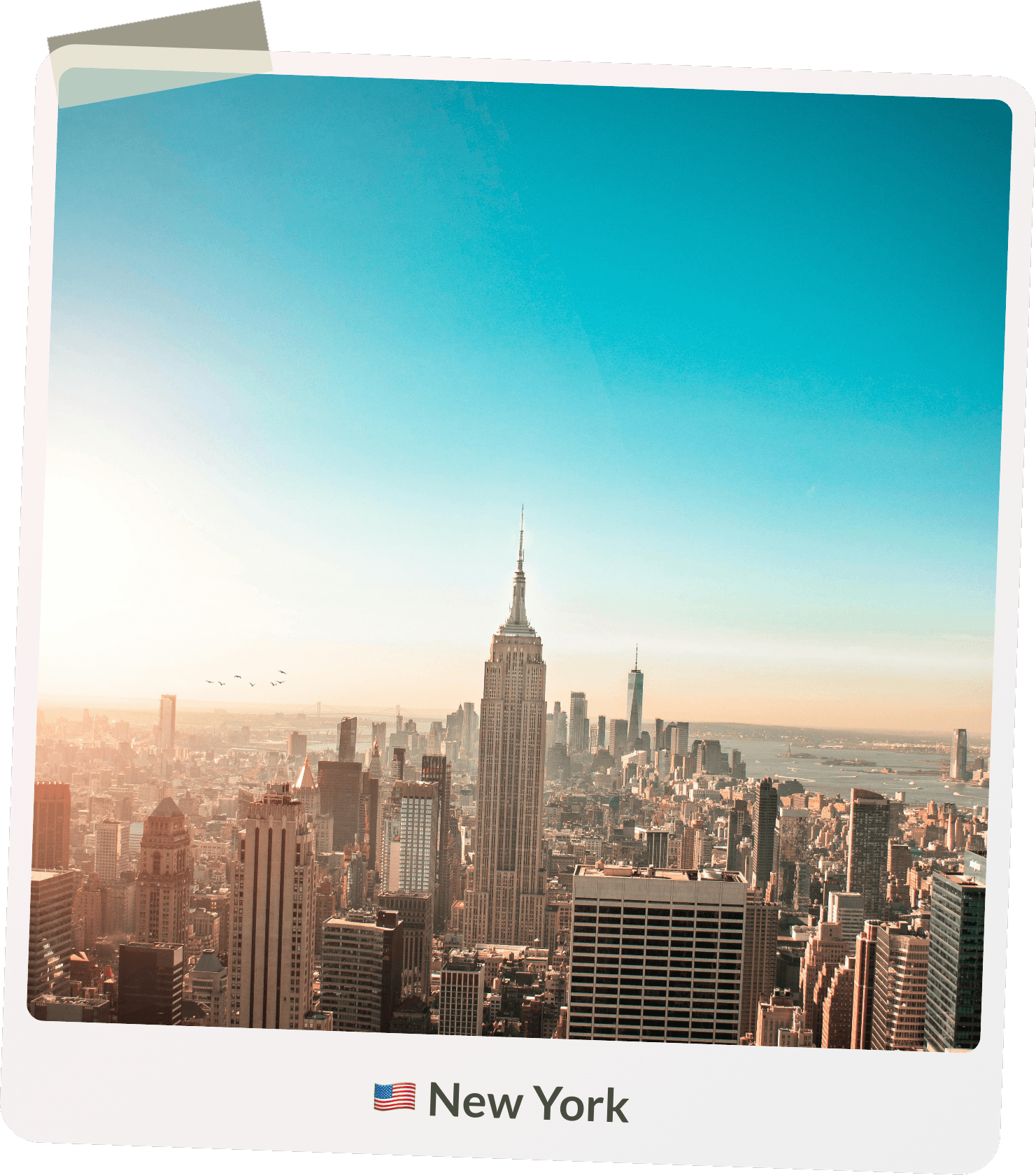 imun new york